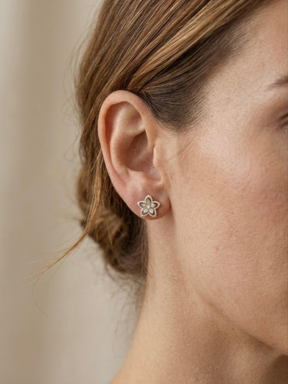 Aretes Estrella Brillante
