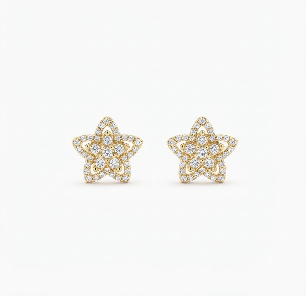 Aretes Estrella Brillante
