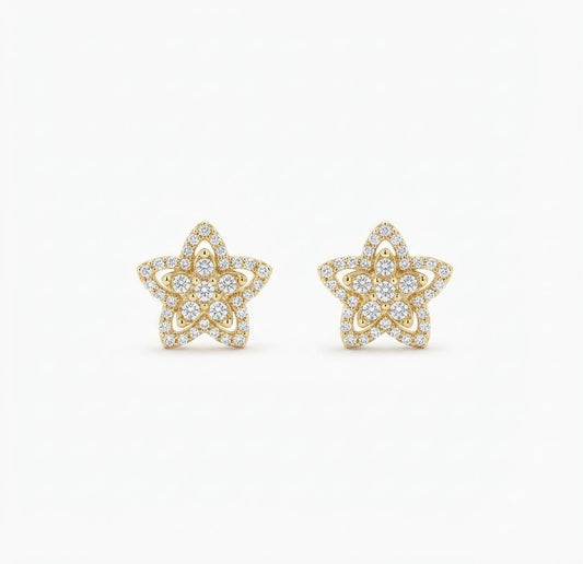 Aretes Estrella Brillante